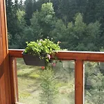 Jezirko Lesni Restaurant & Pensionat