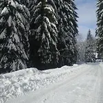Jezirko Lesni Restaurant & Jáchymov