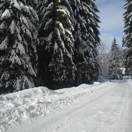 Jezirko Lesni Restaurant & Jáchymov